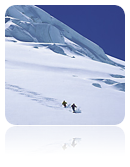 collage_image
