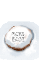 Database