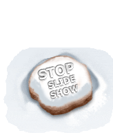 Stop slideshow
