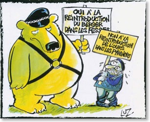 reintroductionours
