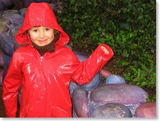 disneyland-1