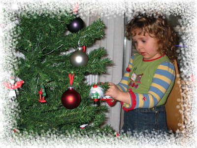 Sapin