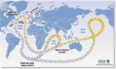 circulation_thermohaline