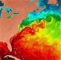 gulf-stream