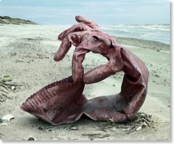 surfrider-gant